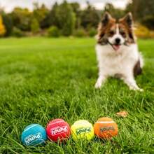 Outward Hound Squeaker Ballz, Interactive Dog Toy, Squeaky Tennis Ball, Durable Dog Toy For Fetch, Multi-Pack Of 4, Small