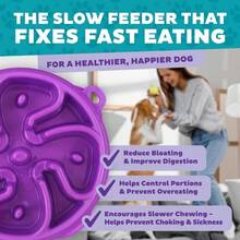 Outward Hound Fun Feeder Slo Bowl, Small Slow Feeder Dog Bowl, 3_4 Cups, Mini, Mint - MàuF - Xem 5