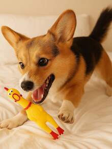 Chicken Chew Toy Fun Sound Toy For Dogs 3 Sizes - Yellow - View 3