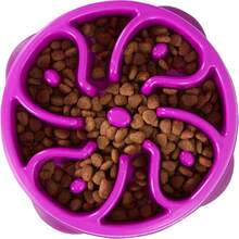 Outward Hound Fun Feeder Slo Bowl, Small Slow Feeder Dog Bowl, 3_4 Cups, Mini, Mint - MàuF - Xem 1