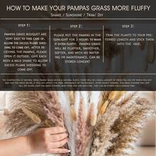 20/30支干芦苇草花束，白色花朵，波西米亚风格家居装饰花束，芦苇干花，房间装饰，家居装饰，卧室装饰，婚礼装饰，婚礼用品，办公室装饰，咖啡厅装饰，情人节礼物 | 万圣节，圣诞节，圣诞装饰，房间装饰，卧室装饰，礼物 - 彩色 - 查看 8