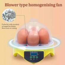 Incubadoras Automáticas Para 7 Huevos De Huevos Digital Hatcher Huevos Transparentes Máquina De Incubación Control Automático De Temperatura Para Pollo Pato Huevos De Pájaro - Tipo de Enchufe A USA (110-127V) - Ver 8