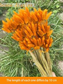 89pcs/116pcs Artificial Flowers Blue Pampas Artificial Flower Bunny Tails For Boho Room Decor Holiday Themed DIY Craft Decoration Preserved Flower For Christmas New Year Valentine's Day Mother's Day Decoration - Orange - View 2