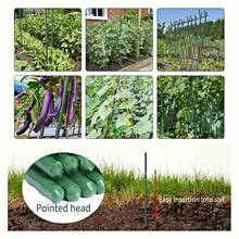 5/10/20 Stücke Pflanzenstäbe, grüne Pflanzenhalter, Pflanzenstützen geeignet für Innen- und Außenpflanzen, grüne Pflanzenhalter für Topftomaten, Pfingstrosen, Lilien, Rosen und andere Blumen- und Gemüsepflanzen - Verschiedenfarbig - Übersicht 4