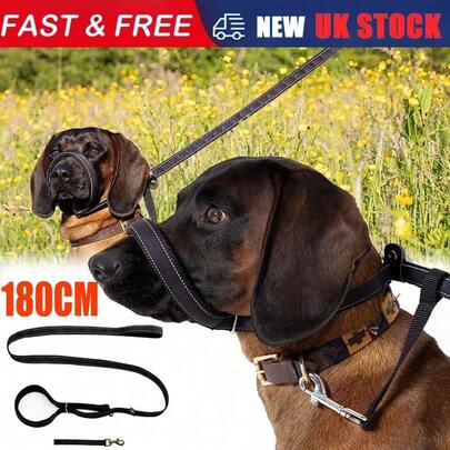 Figure 8 Dog Lead With Padded Nose Loop, 180cm Reflective Anti-Pull Training Leash For Medium To Large Dogs, Gentle Leader No-Pull Solution For Walking, Running, Night Safety & Behaviour Control