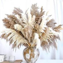 10/20 Pcs Fluffy Brown Pampas Grass Decor, Artificial Rattan Boho Style Indoor Floral, Suitable For Home, Party, Outdoor Decor, Wedding And Engagement, All Seasons, Summer, Tabletop Display, No Container Included - Brown - View 13
