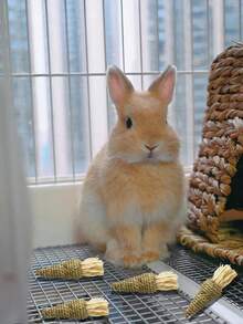 1个/2个/4个手工钩织胡萝卜磨牙玩具，适用于兔子、仓鼠、豚鼠和猫。这些玩具兼具牙齿护理和娱乐功能，可以减少宠物的无聊感，促进健康的咀嚼。是圣诞节或万圣节的绝佳礼物。 - 彩色 - 查看 3