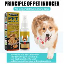 Pet Toilet Training Spray, Toilet Training Spray For Cats And Dogs To Induce Proper Urination And Defecation - Orange - View 3