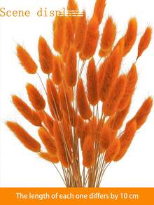 89pcs/116pcs Artificial Flowers Blue Pampas Artificial Flower Bunny Tails For Boho Room Decor Holiday Themed DIY Craft Decoration Preserved Flower For Christmas New Year Valentine's Day Mother's Day Decoration - Orange - View 1