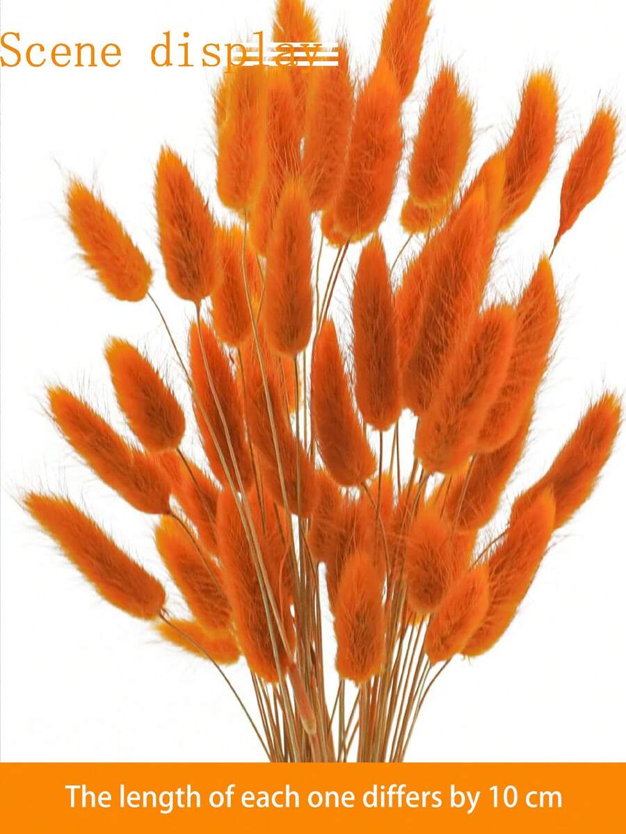 89pcs/116pcs Artificial Flowers Blue Pampas Artificial Flower Bunny Tails For Boho Room Decor Holiday Themed DIY Craft Decoration Preserved Flower For Christmas New Year Valentine's Day Mother's Day Decoration - Orange - View 1