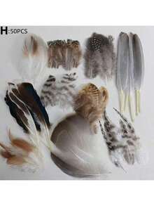 24pcs/4 Styles Natural Spotted Feathers, 6-8 Inches, Bulk Craft Supplies For Clothing, Jewelry, DIY Decoration