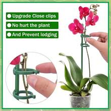 5/10/20 Stücke Pflanzenstäbe, grüne Pflanzenhalter, Pflanzenstützen geeignet für Innen- und Außenpflanzen, grüne Pflanzenhalter für Topftomaten, Pfingstrosen, Lilien, Rosen und andere Blumen- und Gemüsepflanzen - Verschiedenfarbig - Übersicht 10