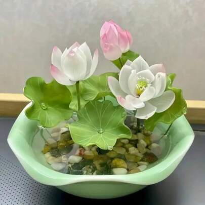 Pre-Sprouted Mixed Color Bonsai Bowl Lotus - Ready To Plant, Perfect For Indoor & Outdoor Aquatic Gardens, Includes Planting Guide, Easy Growth With Minimal Care.