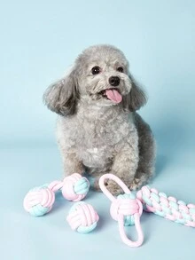 PETSIN Interactive Dog Pet Rope Chew Toy Set, Rope Knot Toy Combination - Includes Fun Training And Teeth Cleaning Benefits