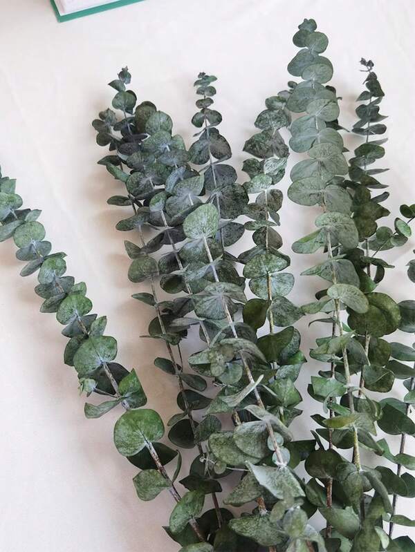 Preserved Eucalyptus Branches, DIY Flower Arrangement, Family Wedding Anniversary Decoration