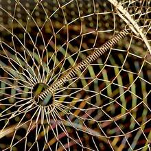 Foldable Wire Fish Basket, Portable Metal Fish Cage For Fishing, Easy To Carry Fish Net - Fish Guard Diameter 25 - View 6