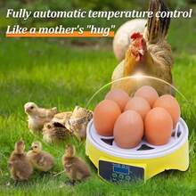 Incubadoras Automáticas Para 7 Huevos De Huevos Digital Hatcher Huevos Transparentes Máquina De Incubación Control Automático De Temperatura Para Pollo Pato Huevos De Pájaro - Tipo de Enchufe A USA (110-127V) - Ver 7