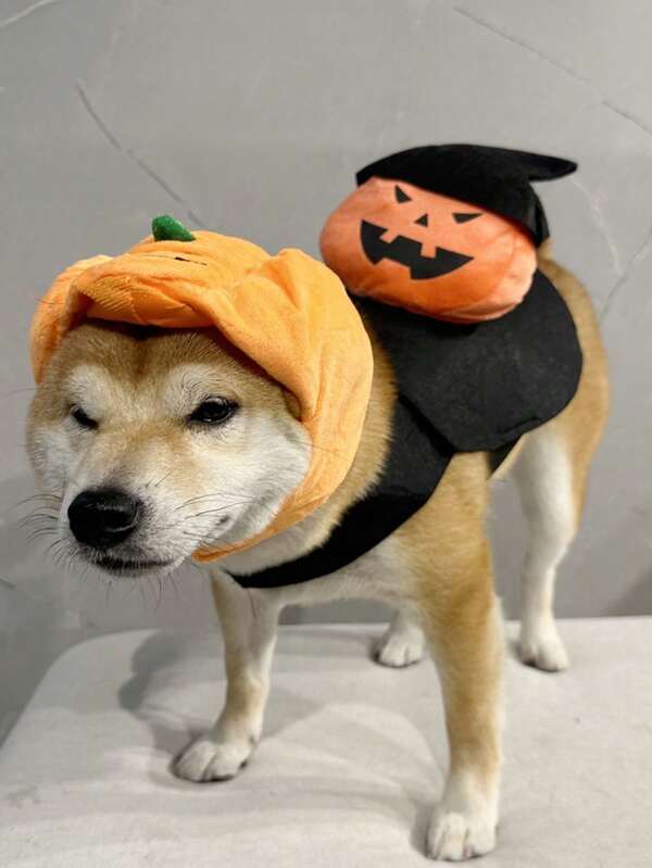 Halloween Costume Ghost Pumpkin Hat, Funny Cat Dog Cosplay Clothes Halloween Halloween Costumes