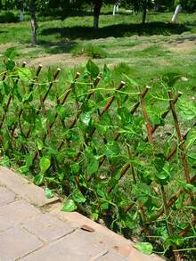 1pc Artificial Ivy Trellis Net, Artificial Plants, Expandable Fence, Wooden Lattice, Garden Decor Vines, Fake Greenery Leaf Fence, Privacy Screen, Adjustable, Suitable For Room Decor, Home Decor, Wall Decor, Bedroom Decor, Wedding Decor, Living Room Decor, Garden Decor, Outdoor Decor