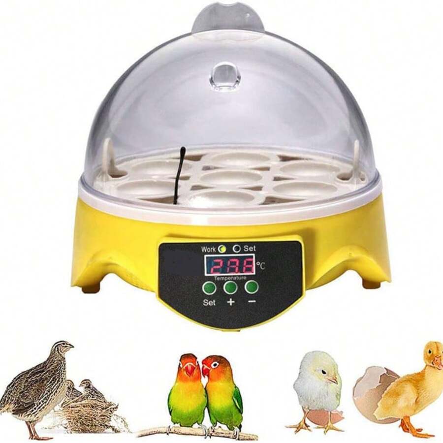 Egg Handling Supplies - مشاهدة 1