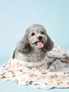 1 hoặc 3 chiếc chăn lông cừu siêu mềm cho mèo/chó có họa tiết bàn chân dễ thương, thảm lót giường cho thú cưng bằng vải nỉ có thể giặt bằng máy, nhiều màu sắc và kích cỡ, phù hợp cho thú cưng cỡ nhỏ/trung bình - trắng - Xem 7