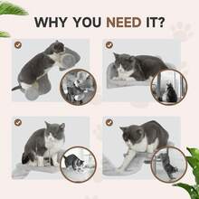 PawHut4 Piece Cat Wall Shelves Wall-Mounted Tree With Platforms Light Grey - Light Grey - View 6