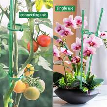 5/10/20 Stücke Pflanzenstäbe, grüne Pflanzenhalter, Pflanzenstützen geeignet für Innen- und Außenpflanzen, grüne Pflanzenhalter für Topftomaten, Pfingstrosen, Lilien, Rosen und andere Blumen- und Gemüsepflanzen - Verschiedenfarbig - Übersicht 9