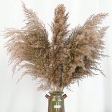 10/20 Pcs Fluffy Brown Pampas Grass Decor, Artificial Rattan Boho Style Indoor Floral, Suitable For Home, Party, Outdoor Decor, Wedding And Engagement, All Seasons, Summer, Tabletop Display, No Container Included - Brown - View 11
