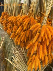 89pcs/116pcs Artificial Flowers Blue Pampas Artificial Flower Bunny Tails For Boho Room Decor Holiday Themed DIY Craft Decoration Preserved Flower For Christmas New Year Valentine's Day Mother's Day Decoration - Orange - View 7
