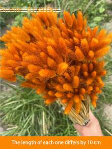 89pcs/116pcs Artificial Flowers Blue Pampas Artificial Flower Bunny Tails For Boho Room Decor Holiday Themed DIY Craft Decoration Preserved Flower For Christmas New Year Valentine's Day Mother's Day Decoration - Orange - View 4