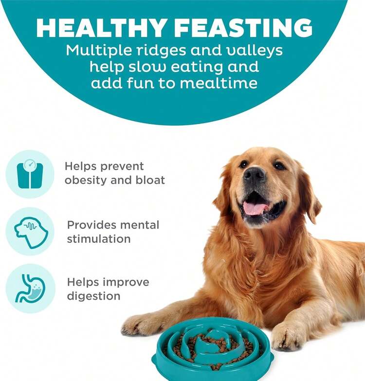 Outward Hound Large Slow Feeder Bowl, Puzzle Maze Fast Eaters, Medium To Large Dogs, Helps Prevent Bloat & Aid Digestion, Holds 4 Cups Wet Or Dry Food, Non-Slip, Made Without BPA, Turquoise - Blue - View 9