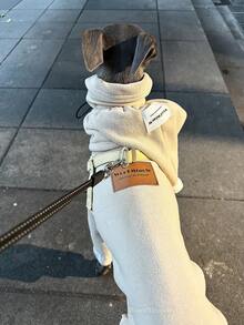 2pcs/Set Soft & Comfortable Double-Sided Fleece Pet Dog Clothes With Hat, Suitable For Italian Greyhound, Whippet, Autumn/Winter