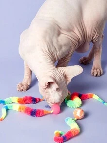 PETSIN 2 Buah Mainan Kucing Cacing Ajaib - Bola Mainan Interaktif Dalam Ruangan untuk Kucing, Terbuat dari Poliester Tahan Lama - MultiWarna - View 6