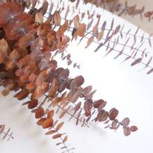 保存完好的桉树枝，DIY插花，家庭结婚周年纪念装饰 - 彩色 - 查看 6