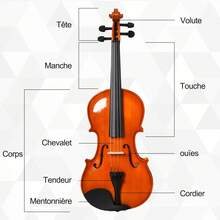 Stringed Musical Instruments - สีน้ำตาลแดง/สีมะรูน - ดู 3