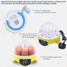 Incubadoras Automáticas Para 7 Huevos De Huevos Digital Hatcher Huevos Transparentes Máquina De Incubación Control Automático De Temperatura Para Pollo Pato Huevos De Pájaro - Tipo de Enchufe A USA (110-127V) - Ver 9