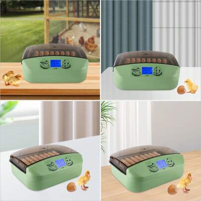 32-Egg Smart Home Incubator, 51x28x42cm With Australian Certification, Intelligent Eggs Incubator 32 Eggs, High-Quality, Suitable For Family And Professional Home Hatching Of Chickens, Ducks, Etc, Green