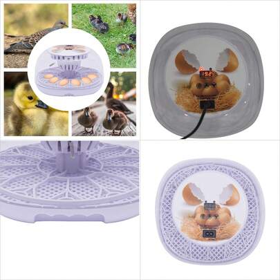 12-Egg Home Chicken Hatching Incubator With Australian Standards, Automatic Eggs Incubator Home Use 12 Eggs, High-Quality, Suitable For Families, Training, And Laboratories, And Is Very Suitable For Showing How To Incubate Eggs, PC, White