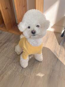 Hundesweater für kleine und mittlere Hunde, warmes Haustier T-Shirt, Hundemode, Katzen-Welpen-Outfit, Hundesweater für Teddy, Chihuahua, Schnauzer, weicher Hundesweater mit warmem Haustier T-Shirt für kleine und mittlere Hunde, Katzen-Welpen-Outfit, Katzenbekleidung, Chihuahua, Teddy, Hunde T-Shirts und Tanktops - süße einfarbige Welpen-Kleidung für kleine und mittlere Hunde, perfekt für Frühling und Winter