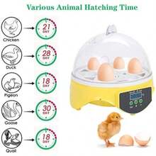 Incubadoras Automáticas Para 7 Huevos De Huevos Digital Hatcher Huevos Transparentes Máquina De Incubación Control Automático De Temperatura Para Pollo Pato Huevos De Pájaro - Tipo de Enchufe A USA (110-127V) - Ver 6