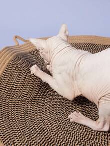 PETSIN 1 件不掉毛绳编织猫抓板，适合猫抓挠和休息，可作为改善氛围的家居宠物礼物 - 彩色 - 查看 2