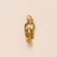 1 件时尚精致金色不锈钢动物系列马、鸟、飞猪、蝎子、斑马、老虎、长颈鹿吊坠，适用于 DIY 项链、手链、耳环、钥匙扣、包链、蕾丝扣、女士珠宝配饰、DIY 配件 - 金色 - 查看 9