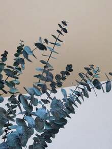 保存完好的桉树枝，DIY插花，家庭结婚周年纪念装饰 - 彩色 - 查看 8