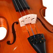 Stringed Musical Instruments - สีน้ำตาลแดง/สีมะรูน - ดู 9