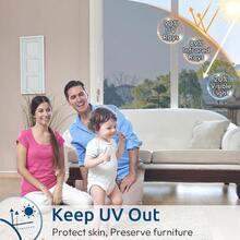 Door & Window Screens