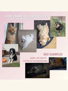 Nam châm tủ lạnh in ảnh thú cưng cá nhân hóa, trang trí tủ lạnh hình mặt mèo/chó theo yêu cầu, quà lưu niệm độc đáo, thiết kế chất lượng cao, trang trí nhà/bếp dễ thương và vui nhộn, món quà ý nghĩa dành cho người yêu thú cưng, gia đình và bạn bè, quà tặng thời trang cho dịp lễ, sinh nhật và tân gia. - Nhiều màu - Xem 4