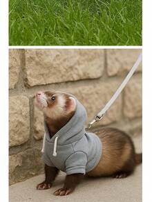 Gray Ferret Sweater, Harness And Leash Set - Small Pet Clothing - Ferret Supplies And Accessories - Ferret Hoodie - Small Pet Accessories - 1 - 查看 8