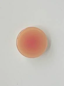 1 pièce Support de téléphone rond dégradé de couleur unie, support de téléphone pliable et télescopique de bureau créatif, support de téléphone adhésif extensible compatible avec , téléphone Android, cadeau pour anniversaire, famille, amis. Accessoires de téléphone avec poignée de téléphone à pousser-tirer. - Multicolore - Voir 18