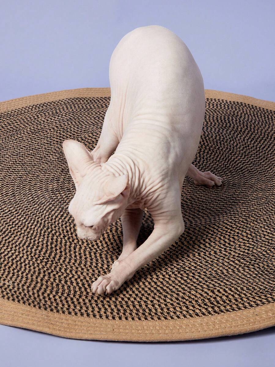 PETSIN 1 件不掉毛绳编织猫抓板，适合猫抓挠和休息，可作为改善氛围的家居宠物礼物 - 彩色 - 查看 1