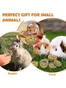 1/3/5 Pcs Natural Timothy Grass Chew Toys, Handmade For Rabbits, Guinea Pigs, Hamsters, Gerbils And Other Pets, Random Styles